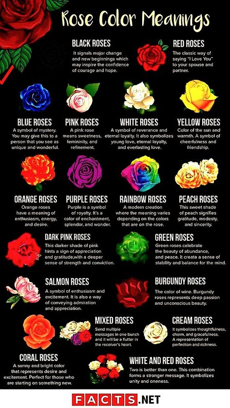 Rose Meaning Color, Ruth Core, Different Color Roses, Rose Color Meanings, Rose Meaning, Flower Symbolism, Velvet Rose, Color Meanings, Mental And Emotional Health