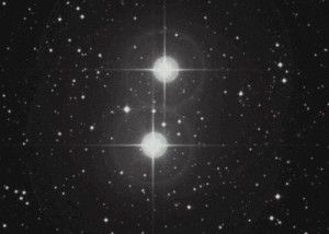 Star of the week:  Epsilon Lyrae is the famous Double Double star | EarthSky.org Summer Triangle, Star Of The Week, Ocean Sailing, Binary Star, Keep Looking Up, Star Light Star Bright, Sun And Earth, Cosmic Horror, Star System