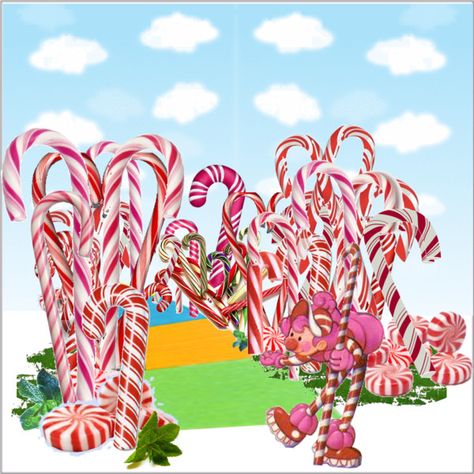 Candyland Peppermint Forest, Mr Mint Candyland, Peppermint Forest, Candyland Theme, Classroom Anchor Charts, Christmas Journal, Candy Land Theme, Forest Pictures, Inspo Pics