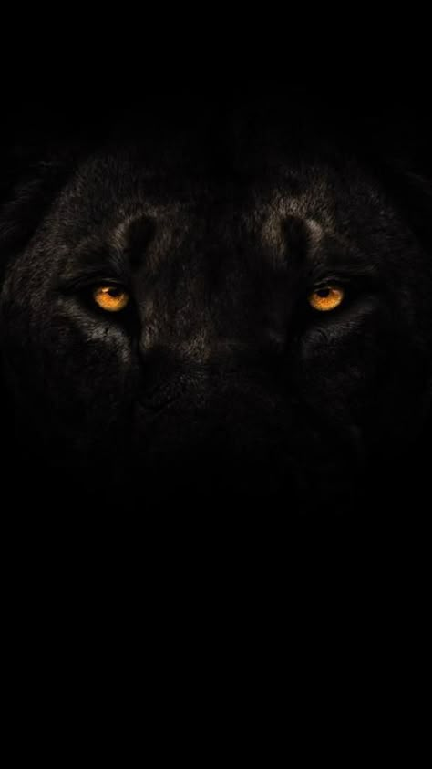 Aesthetic Background For Personal Development, Lion Aesthetic Dark, Aslan Wallpapers, Black Jaguar Animal, Wallpaper Lion, Lion Hd Wallpaper, Black Panther Tattoo, Black Background Painting, Tiger Photography