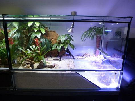 Halloween Crab, Hermit Crab Cage, Hermit Crab Homes, Fiddler Crab, Hermit Crab Habitat, Hermit Crab Tank, Aquarium Terrarium, Turtle Habitat, Turtle Tank