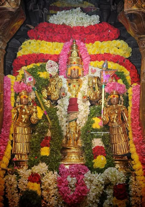 Murugan Thirukalyanam Images, Murugan Thirukalyanam, Murugan Valli Deivanai Hd Images, Tiruchendur Murugan Images Hd, Murugan Images Hd, Tiruchendur Murugan, Lord Palani Murugan Hd Wallpaper, Cute Murugan Images, Murugan Hd Wallpaper