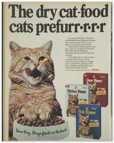 Kitten Food, Pet Blog, Food Ads, Dry Cat Food, Retro Ads, Old Ads, Vintage Magazines, Vintage Cat, Vintage Magazine