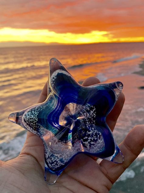 Starfish Navy Aqua Silver The Starfish are available in all colors Beautiful Sunset Pictures, Starfish Art, Artful Ashes, Blue Green Gold, Star Fish, Memorial Urns, After Life, Burgundy And Gold, Sunset Pictures