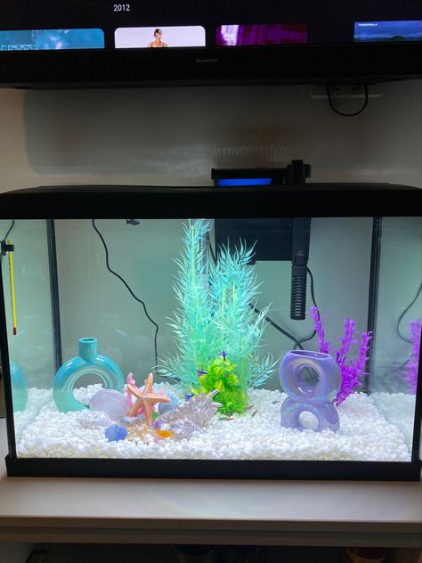 Colorful Fish Tank Ideas, Aesthetic Aquarium Ideas, Aesthetic Fishtanks, Cute Fish Tanks Ideas, Small Fish Tank Aesthetic, Girly Fish Tank Ideas, Small Fish Tank Decor Ideas, Pet Fish Aesthetic Tank, Pretty Fish Tank Ideas