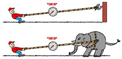 Newton's third law: for every action there is an equal and opposite reaction. Website with an explanation of Newton's 3rd Law. Newtons Third Law Of Motion Examples, 3rd Law Of Motion, Newton's 3rd Law, Newtons Third Law, Newtons Third Law Of Motion, Red Classroom, Newton's Third Law, Newtons Laws Of Motion, Science Homework