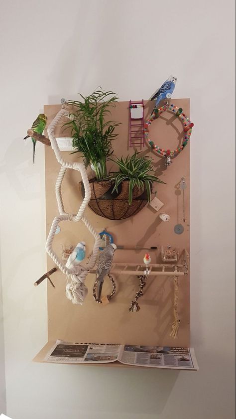 Parakeet Toys Homemade, Bird Wall Playground, Budgie Diy Ideas, Homemade Budgie Toys, Parrot Room Ideas Pet Birds, Diy Parakeet Cage Ideas, Bird Enrichment Ideas, Bird Enrichment Diy, Diy Toys For Parrots