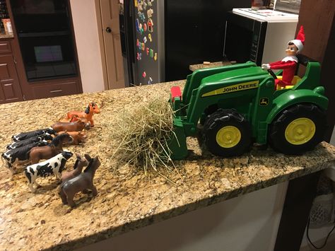 Elf on the self! Feeding the farm animals, elf on the tractor Tractor Elf On The Shelf, Farming Elf On The Shelf, Western Elf On The Shelf, Real Elf On The Shelf, Elf On The Shelf Tractor, Elf On The Shelf Tractor Ideas, Farm Elf On The Shelf Ideas, Elf On The Shelf Horse Ideas, Elf On The Shelf Farm Ideas