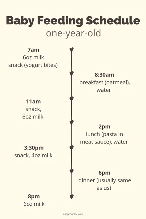 1 Year Feeding Schedule, Feeding Schedule 1 Year, One Year Old Feeding Guide, Toddler Feeding Schedule, 12 Month Old Feeding Schedule, One Year Old Milk Schedule, One Year Old Food Schedule, 12 Month Feeding Schedule, 12 Month Old Eating Schedule