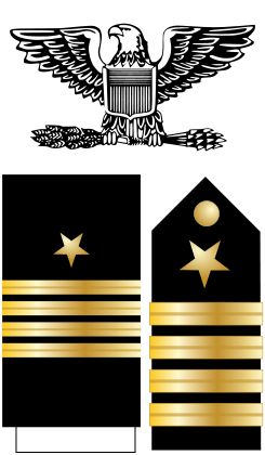 Us Navy Rank Insignia, Navy Ranks, Navy Families, Military Ranks, Navy Uniforms, Airplane Party, Military Patch, Military Service, Military Police