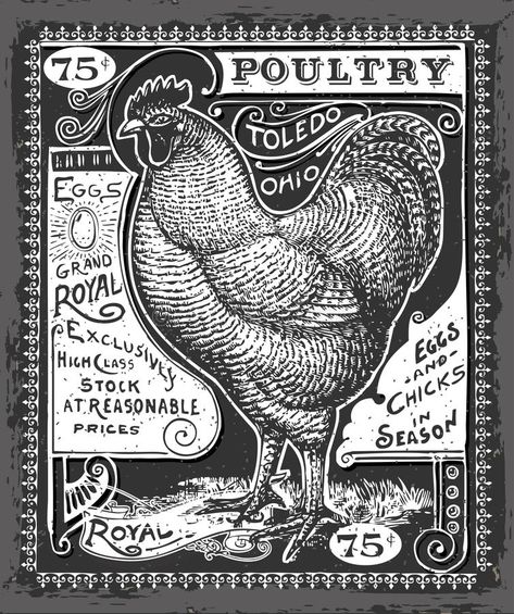 Vintage Poultry and Eggs Advertising on Blackboard. Detailed Illustration of a V #Sponsored , #AD, #ad, #Poultry, #Detailed, #Illustration, #Eggs Poultry Business, Chicken Art, Raising Chickens, Canvas Signs, Free Vector Art, Street Food, Quilt Blocks, Rooster, Vector Art