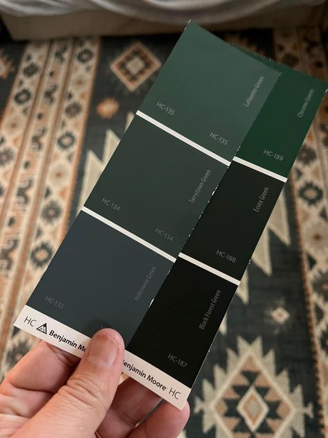 Essex Green Bathroom, Black Forest Green Paint, Essex Green, First Apartment Tips, Apartment Tips, School Dr, Black Forest Green, Paint Colours, Green Bathroom