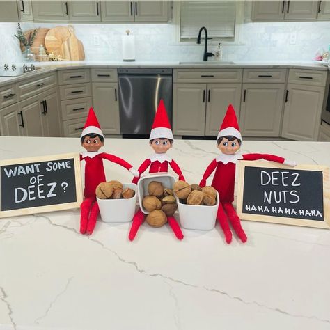 Snoop Dog Christmas, Elf On Shelf Funny, Elf Ideas Easy, Elf Names, Awesome Elf On The Shelf Ideas, The Memes, Elf Activities, Xmas Elf, Elf Antics