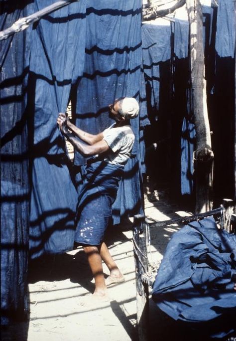 Indigo dyeing Indigo Saree, A Well Traveled Woman, Indigo Textiles, African Indigo, Egyptian Mummies, Mood Indigo, Indigo Shibori, Blue Dye, Indigo Colour