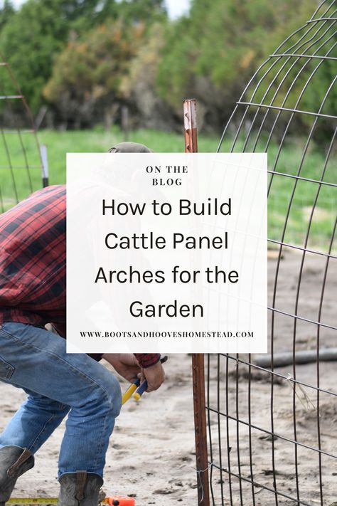 Transform your garden into a stunning oasis and learn how to build a garden arch trellis — simply. This easy diy cattle panel archway is a simple project that will elevate your vegetable garden that doesn’t take much time! You’ll have a simple diy arch trellis in under 20 minutes! Building an arched trellis with cattle panels and T-posts is a sturdy and practical way to support climbing plants like vines, cucumbers, or tomatoes while adding an attractive architectural element to your garden. Cattle Panel Arch Trellis, Tomato Arch Trellis, Trellis Cattle Panel, Diy Trellis Archway, Diy Garden Arch Trellis, Diy Arch Trellis, Trellis Diy Garden, Diy Garden Arch, Garden Arch Ideas