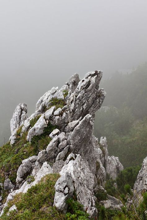 Rock Animals, Rock Photography, Rock Textures, Cool Rocks, Bavaria Germany, Landscape Scenery, Matte Painting, Rock Formations, Environment Design