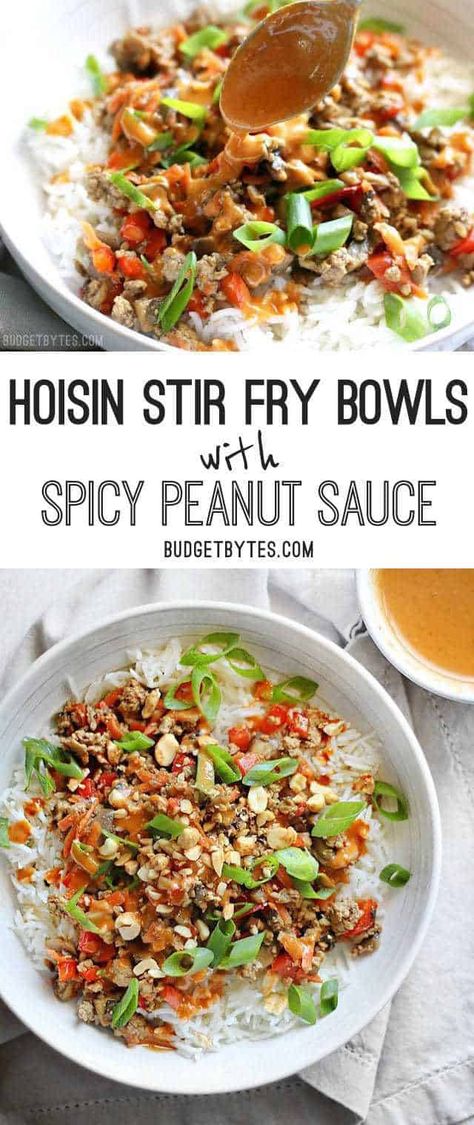 Hoisin Stir Fry, Peanut Sauce Stir Fry, Frying Recipes, Healthy Stir Fry, Spicy Peanut Sauce, Pork Stir Fry, Budget Bytes, Spicy Peanuts, Meal Recipes