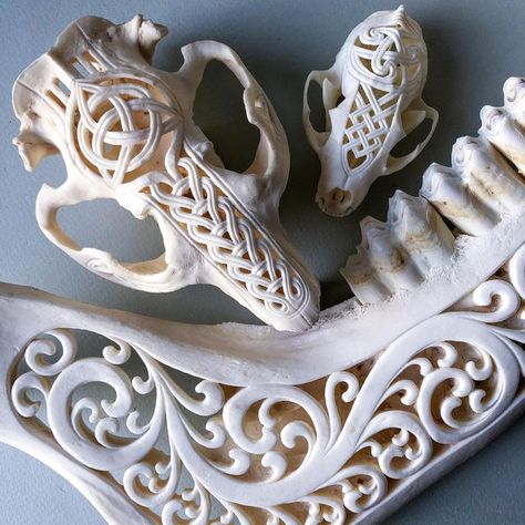 Animal Skull Carving, Carved Animal Skulls, Bone Carving Tutorial, Skull Carving Pattern, Deer Skull Carving Patterns, Painted Bones, Beaver Skull, Animal Skull Decor, Wooden Skull