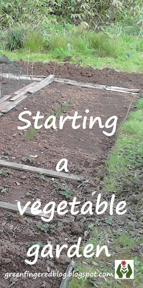 Creating a new veg patch or allotment, how to get started Vegetable Patches Ideas, Veg Patch Design, Allotment Ideas Inspiration Raised Beds, Garden Vegetable Patch Ideas, Vegetable Patch Design, Veg Plot Ideas, Home Allotment Ideas, Allotment Layout Uk, Diy Allotment Ideas