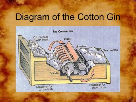 Technological innovation cotton gin by amy gregory. Eli Whitney Cotton Gin, Cotton Gin, Cotton Boll, History Classroom, Clean Cotton, Spinning Wheel, History Lessons, Homeschool Resources, Brush Cleaner