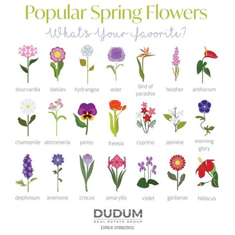 April May, Spring Has Sprung, Delphinium, Anemone, Pansies, Spring Flowers, Hydrangea, Hibiscus, Daisy