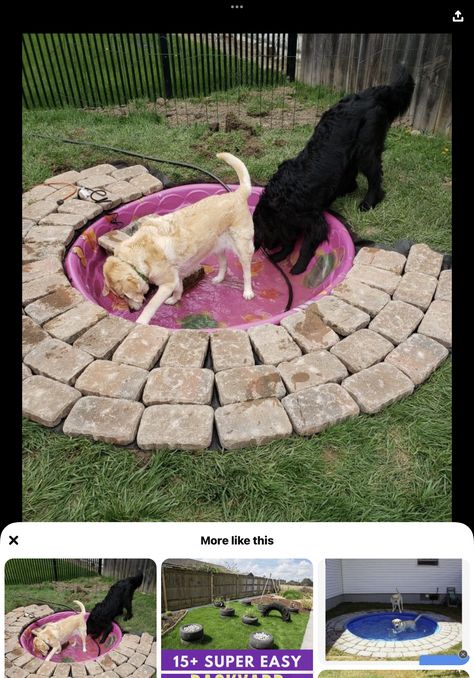 Dog Run Decor Ideas, Pools For Dogs, Diy Backyard Dog Pond, Backyard Dog Area Ideas Diy, Outdoor Dog Oasis, Dog Runs Ideas Backyard, Dog Outdoor Area, Diy Outdoor Dog Area, Dog Yard Ideas Play Areas