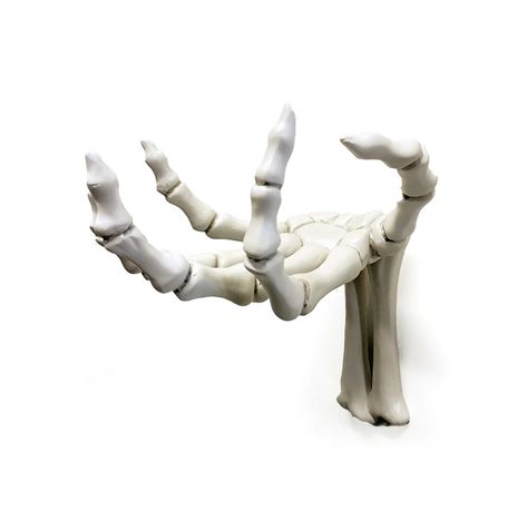 Skeleton Hand Poses, Skeleton Hands Holding, Skeleton Reference, Hand Holding Something, Hook Tattoos, Wall Hook Rack, Skull Reference, Hands Reaching Out, Skull Model