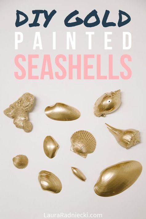 Finally do something with all the shells you've collected from the beach! Here's how to spray paint seashells and make gorgeous, easy DIY gold painted shells that can be used in your home decor, or other craft projects! #seashells #diy #crafts #lauraradniecki #spraypaint Spray Paint Seashells, How To Paint Seashells, Paint Seashells, Spray Paint Crafts, How To Spray Paint, Spray Paint Projects, Painted Seashells, Sea Shells Diy, Paint Crafts