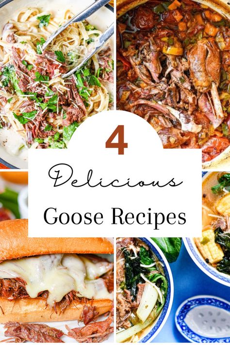 Goose recipes like Goose Fettucini Alfredo, Goose Stew, French Dip Sandwiches with Goose Meat, and Snow Goose Soup. Goose Stew Recipes, Goose Stew, Goose Breast Recipes Crock Pot, Goose Breast Recipes, Slow Cooker Goose Recipes, Goose Crockpot Recipes, Wild Goose Recipes, How To Cook Goose, Canning Goose Meat