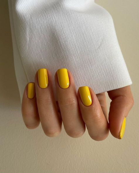 September Nails Short, Nails Pastel Colors, Cute September Nails, Summer 2023 Nail Trends, Nails Pastel, 2023 Nail, September Nails, Latest Nail Trends, One Color Nails