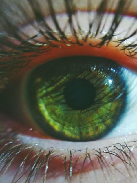 Symbolism of Green Eyes: Spiritual Meaning of Eye Color | Sarah Scoop Green Eyes Meaning, Green Iris Eye, Types Of Eye Colors, Green Eye Ball, Green Eye Quotes, Green Eyes Facts, Eyes Spiritual, Green Color Meaning, Rare Eye Colors