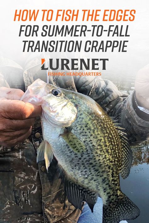 EDGES PROVIDE TRAVEL ROUTES FOR CRAPPIE, WITH FOOD STOPS ALONG THE WAY. LEARN HOW TO LOCATE AND CATCH THESE FISH. #lurenet #crappiefishing #fishingtips Fish Chart, Crappie Fishing Tips, Fish Bait, Fishing 101, Crappie Fishing, Fishing Techniques, River Fishing, Freshwater Fishing, Catching Fish