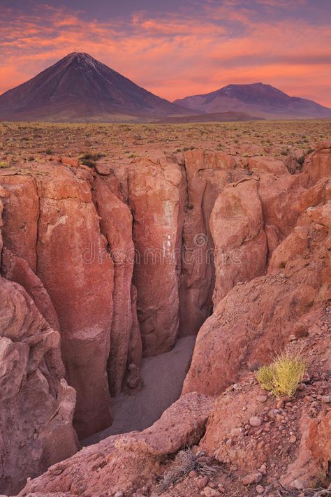 Chile Desert, Desert Dnd, Rocky Desert, Cold Desert, Barbie Cowgirl, Atacama Desert Chile, Desert Canyon, Natural Wonders Of The World, Cold Deserts