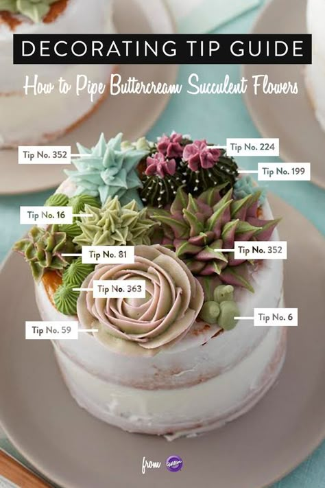 Piped Flowers, Piping Buttercream, Tårta Design, Succulent Cupcakes, Succulent Cake, Succulent Flowers, Cactus Cake, Cupcake Tutorial, Cake Piping