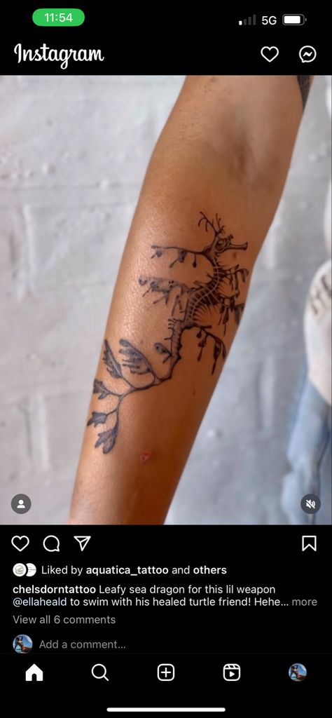 Weedy Sea Dragon Tattoo, Ocean Coral Tattoo, Land And Sea Tattoo, Sea Anemone Tattoo, Leafy Sea Dragon Tattoo, Ocean Leg Tattoo, Coral Tattoos, Sea Dragon Tattoo, Tattoo Mural