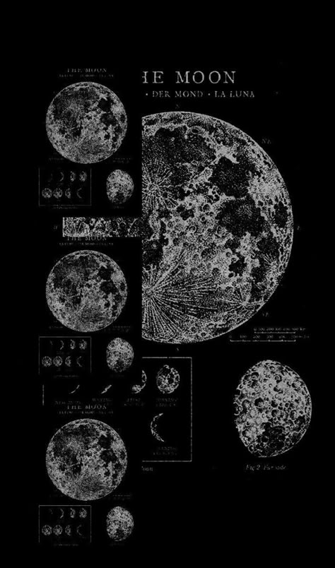 Vintage Astronomy Prints, Moon And Stars Wallpaper, Grunge Posters, 달력 디자인, Stars Wallpaper, Witchy Wallpaper, Simple Phone Wallpapers, Dark Phone Wallpapers, Edgy Wallpaper