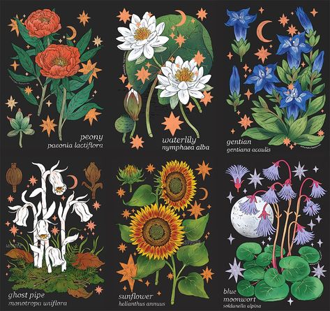 🌿amanda🌿 on Twitter: "a collection of botanicals 🌷… " Chalkboard Doodles, Pagan Spirituality, Blooming Plants, Plant Drawing, Green Witch, Botanical Illustration, Flower Wallpaper, Trees To Plant, Art Wallpaper