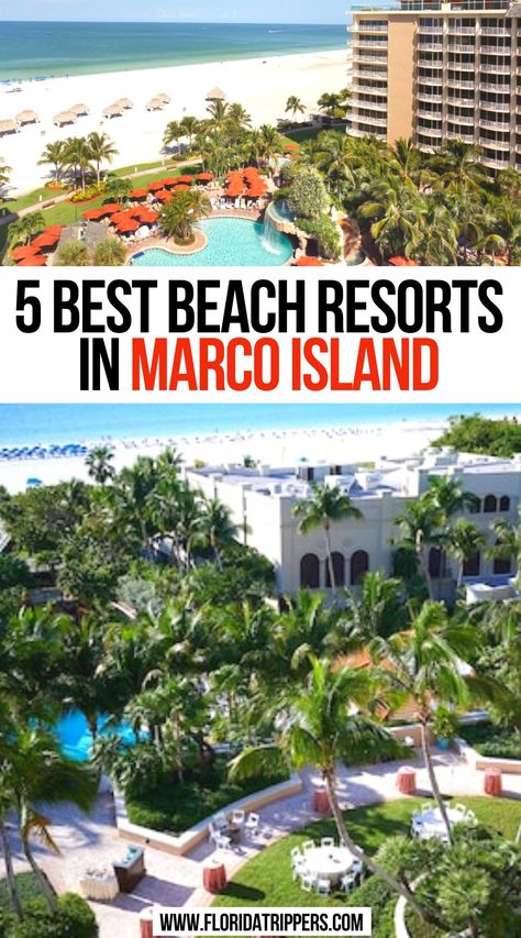 5 Best Beach Resorts In Marco Island Marco Island Florida With Kids, Marco Island Florida Things To Do, Marco Island Florida Outfits, Florida With Kids, Florida Beach Resorts, Marco Island Beach, Marco Island Florida, 2024 Travel, North America Travel Destinations