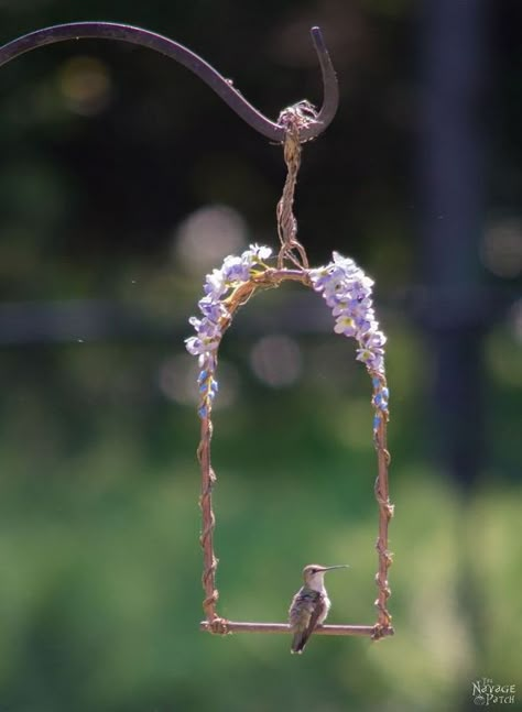 diy hummingbird perch, animals, crafts, gardening, outdoor living, pets animals Hummingbird Perch, Hummingbird Garden, Deco Nature, Meteor Garden 2018, Homestead Survival, Humming Bird Feeders, Whimsical Garden, Kew Gardens, Bird Garden