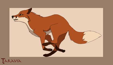 Fox run cycle by Taravia on DeviantArt Animal Running Gif, Fox Running Drawing, Animal Running Animation, Zorro Fennec, Animal Running, Fox Animation, Fox Gif, Running Drawing, Fox Running