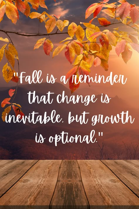 Fall Inspirational Quotes Wallpaper, November Quotes Motivation, Fall Motivational Quotes, Fall Time Quotes, Autumn Potpourri, Fall Quotes And Sayings, Autumn Sayings, Change Is Inevitable, November Quotes