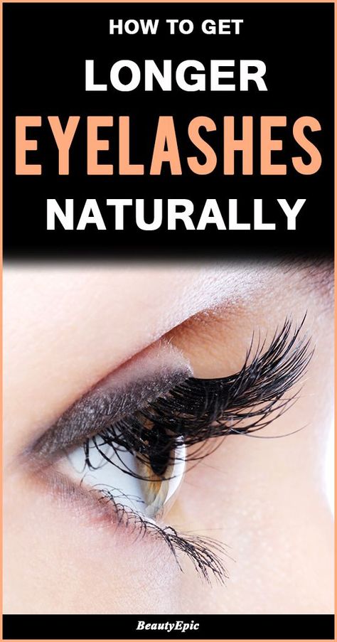 How To Get Longer Eyelashes Naturally! Here are 9 Easy Ways Eyelashes Ideas, Longer Eyelashes Naturally, Get Long Eyelashes, Eyeshadow Basics, Lengthen Eyelashes, Artificial Eyelashes, Prom Makeup Looks, Makeup Shades, Fall Makeup Looks