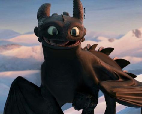 Night Fury Base, Httyd Toothless, Toothless Night Fury, Night Fury Dragon, Oc Template, Httyd Art, Dreamworks Dragons, Httyd Dragons, Night Fury