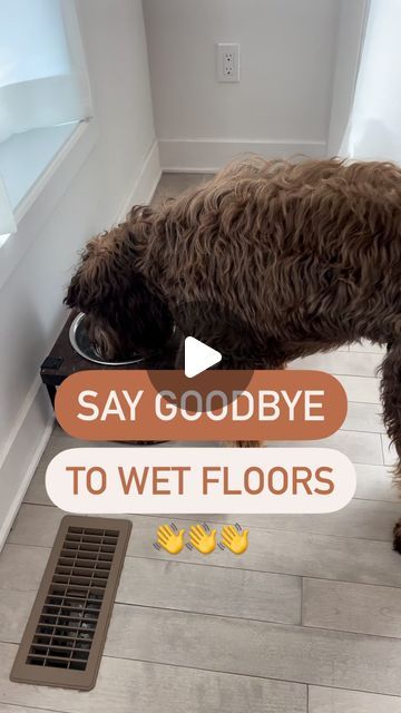 🐾Dogs Made Simple on Instagram: "The way he falls in the video!!😭

No, but all jokes aside, one of my biggest pet peeves is my dog drinking water and it splashes everywhere.

Water all over the floors. Constantly!!

👏I decided to buy myself the @yourpupphub Zero Splash Dog bowl and we are loving it!!

If you want to clean your floors clean, I highly recommend it!

👀Bonus: with summer around the corner, you can bring it in the car with you to keep your dog hydrated without worrying about water splashing everywhere.

💐HINT HINT. If you are thinking ahead of time, it also makes for a great Mother’s Day gift!!

#dogproducts #dogtrending #doginfluencer #dogproduct #dogbowls #dogownerproblems #dogowners #dogownerlife #puppyparents #puppyparent #dogreels #puppyreels #mothersday #motherdaygif Dog Drinking Water, Messy Dog Water Bowl Ideas, Dog Water Bowl Ideas For Sloppy Drinkers, Clean Drink, Dog Water Dispenser, Water Station, Dog Water Bowls, Water Solutions, Pet Peeves