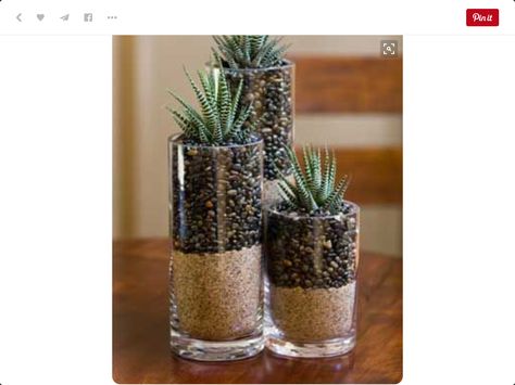 Terrariums Diy, Indoor Succulent Planter, Succulents In Glass, Diy Succulent Terrarium, Succulent Planter Diy, Zebra Plant, Purple Succulents, Trendy Plants, Succulent Landscaping