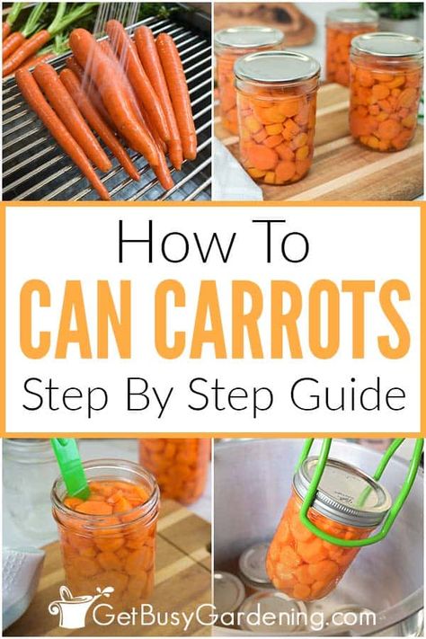 Preserving Carrots Canning Recipes, How To Preserve Carrots From The Garden, Pressure Can Carrots, How To Blanch Carrots, How To Can Carrots In A Water Bath, Canning Carrots Celery And Onions, Water Bath Canning Carrots, Canning Carrots Pressure, How To Can Carrots