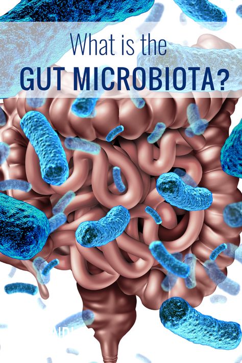 THE GUT MICROBIOME: WHAT YOU PUT IN YOUR MOUTH AFFECTS YOUR BODY. Click to learn more. Gut Microbiome. Gut Health. Bacteria Types, Heal Leaky Gut, Second Brain, Candida Overgrowth, Gut Healing Recipes, Healing Recipes, Unhealthy Diet, Gut Microbiota, Healing Waters