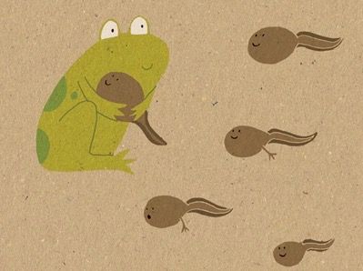 Frog & Tadpoles Tadpoles Drawing, Frog Illustration, Frog Pictures, Animal Doodles, Scrapbook Book, All About Animals, Frog And Toad, Toad, Frogs