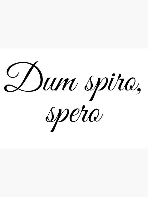 "Latin utterances (Dum spiro, spero.) "While I breathe, I hope."" Art Board Print for Sale by KiseijuuYa | Redbubble Dum Spiro Spero Tattoo, While I Breathe I Hope, Dum Spiro Spero, Latin Tattoo, Hope Art, Poets, Journal Notebook, Art Boards, I Hope