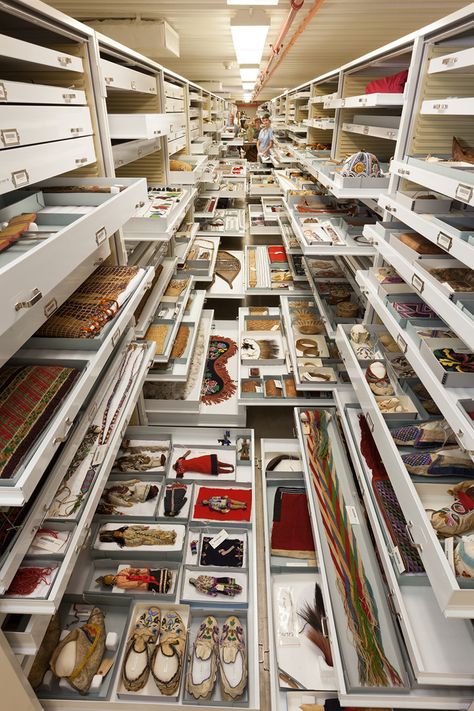 backroom-storage-at-the-smithsonian-natural-history-museum-designboom-02 Museum Storage, National Museum Of Natural History, Things Organized Neatly, Museum Studies, Smithsonian Museum, Secret Storage, Colossal Art, Museum Displays, Museum Of Natural History